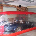 Photo Cobra