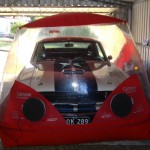 Photo Shelby 2
