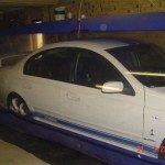 cobra in carcoon 001