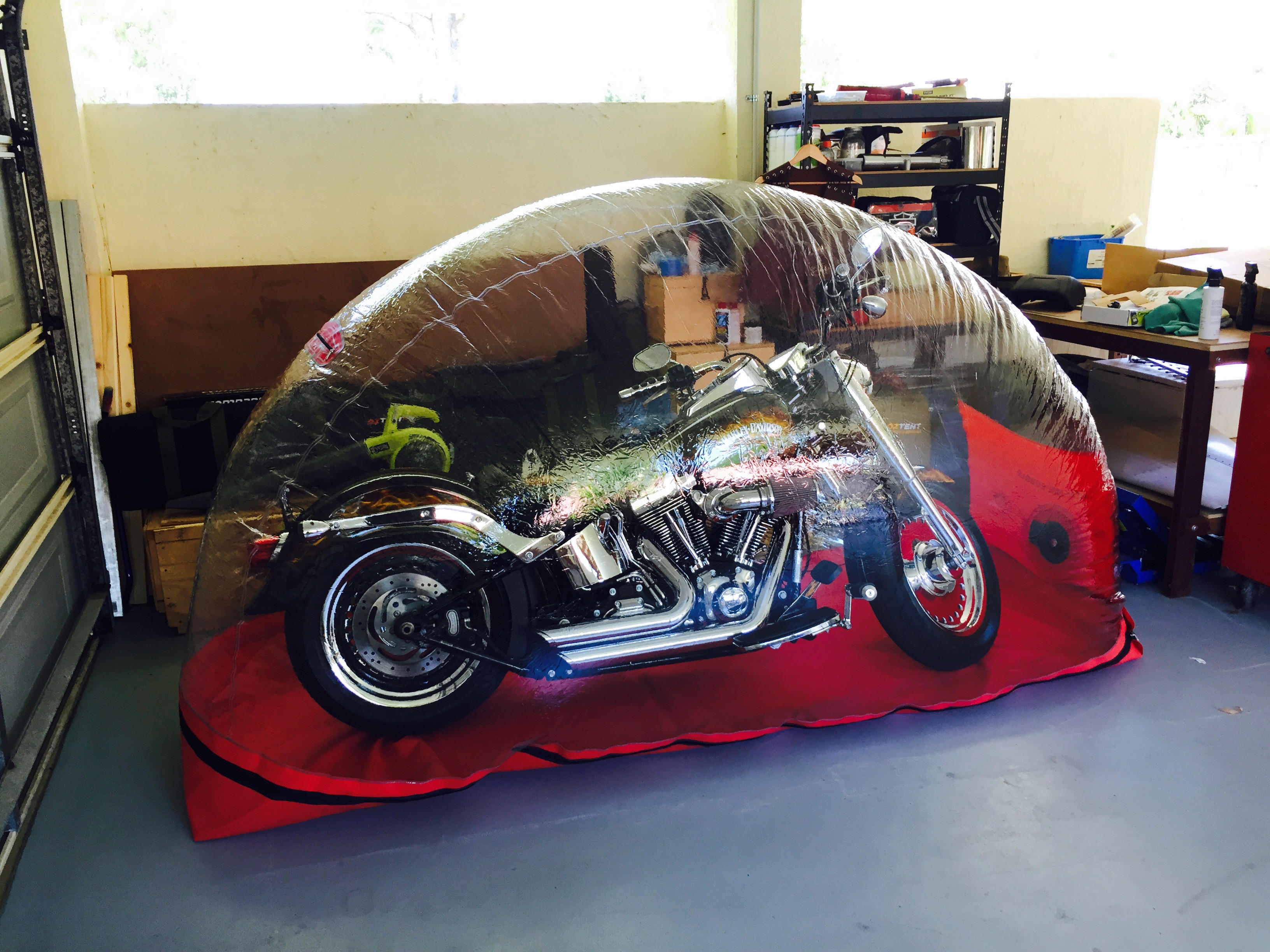 Bike Bubble (Large Indoor) Carcoon